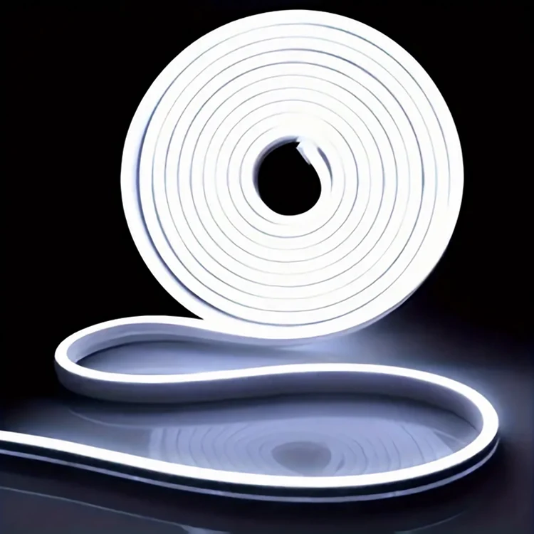 Neon LED Strip Light W